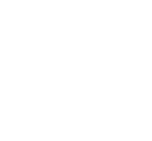 Logo ProCoReX